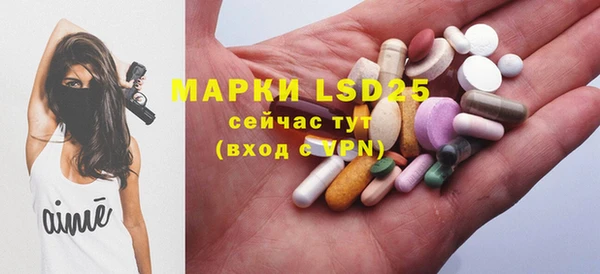 прущие грибы Ветлуга
