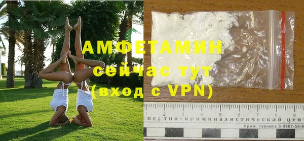 Альфа ПВП Пересвет