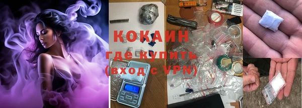 дурь Пестово