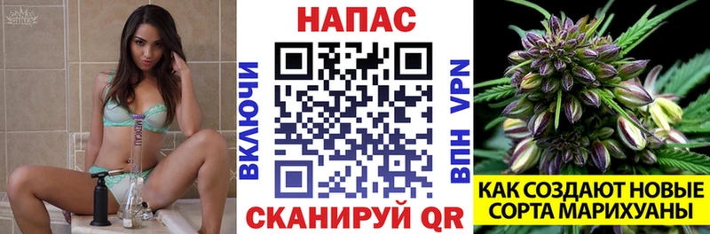 Бошки марихуана планчик  Шебекино 